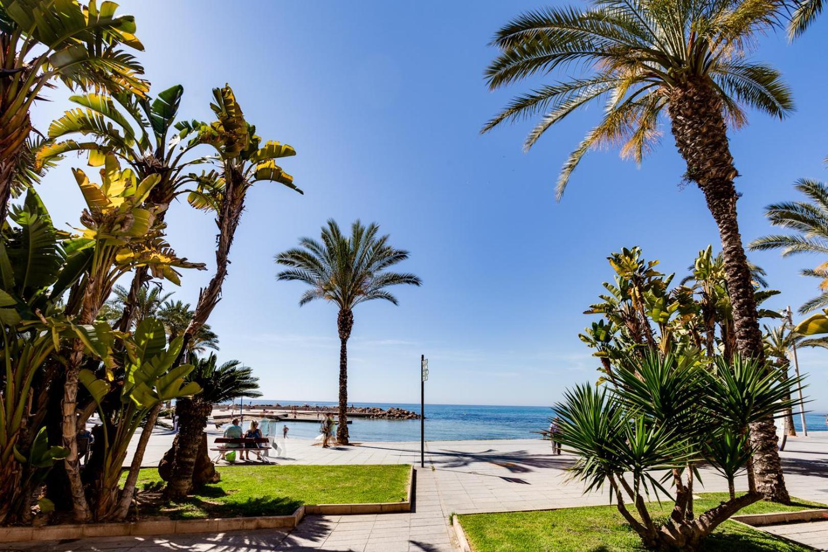 Calle Concordia 86, Two Bedroom Apartment, Up To 6 Guests, Near Del Cura Beach,Supermarket Mercadona And Central Bus Station Torrevieja Exterior foto